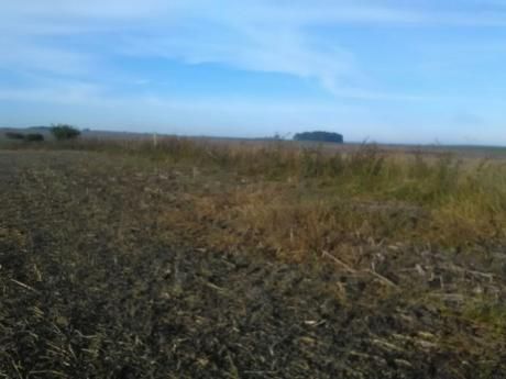 Campo / Chacra En Venta En Paysandú, Paysandú