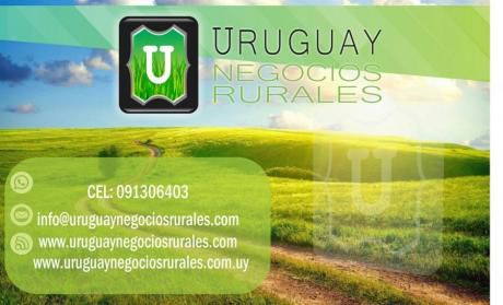 Campo / Chacra En Venta En Young, Río Negro