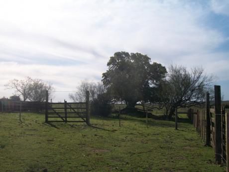 Campo / Chacra En Venta En Artigas, Artigas