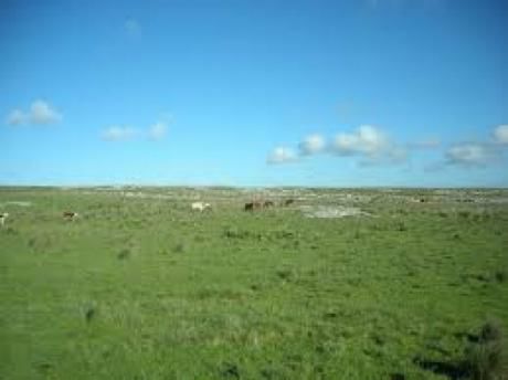 Campo / Chacra En Venta En Trinidad, Flores