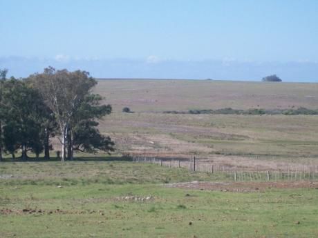 Campo / Chacra En Alquiler En Durazno , Durazno
