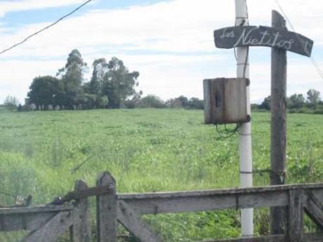 Campo / Chacra En Venta En Las Cañas, Río Negro