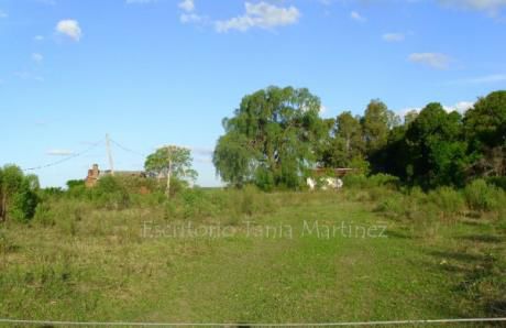 Campo / Chacra En Venta En Mercedes, Soriano