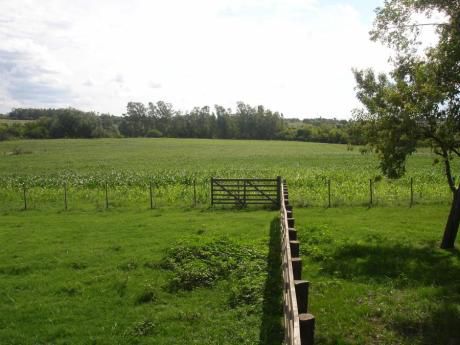 Campo / Chacra En Venta En Paraje Pense, Soriano