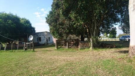 Campo / Chacra En Venta En Fray Bentos, Río Negro