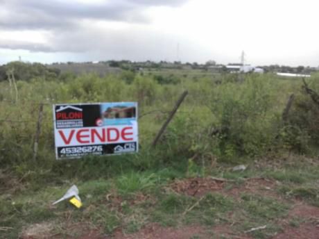 Campo / Chacra En Alquiler En Mercedes, Soriano