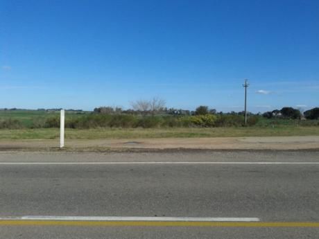 Campo / Chacra En Alquiler En Mercedes, Soriano