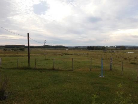 Campo / Chacra En Venta En Tacuarembó, Tacuarembó