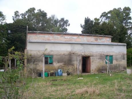 Campo / Chacra En Venta En Mercedes, Soriano