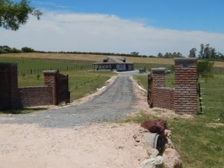 Campo / Chacra En Venta En Mercedes, Soriano