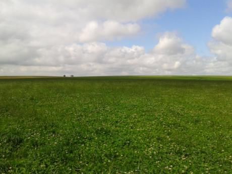 Campo / Chacra En Venta En Carreta Quemada, San José