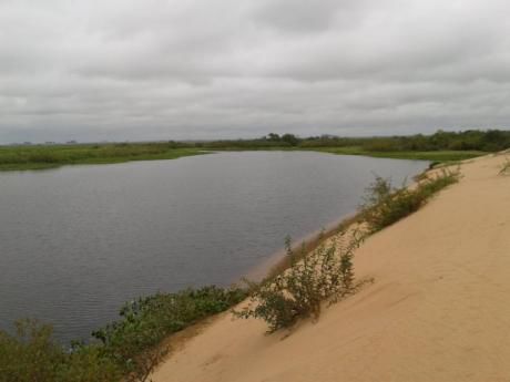 Campo / Chacra En Venta En Villa Ansina, Tacuarembó