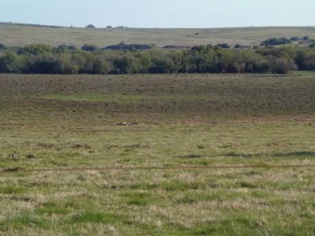 Campo / Chacra En Venta En Florencio Sánchez, Colonia