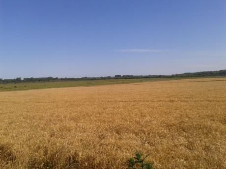 Campo / Chacra En Venta En San José De Mayo, San José