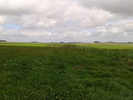 Campo / Chacra En Venta En Carmen, Durazno