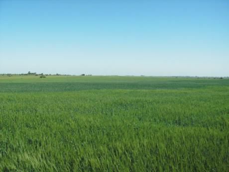 Campo / Chacra En Venta En Andresito, Flores