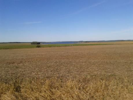 Campo / Chacra En Venta En Young, Río Negro