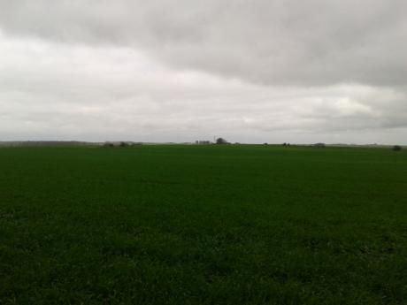 Campo / Chacra En Venta En Sarandí Grande, Florida