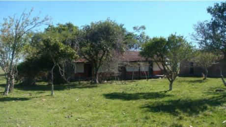 Campo / Chacra En Venta En Aguas Buenas, Durazno