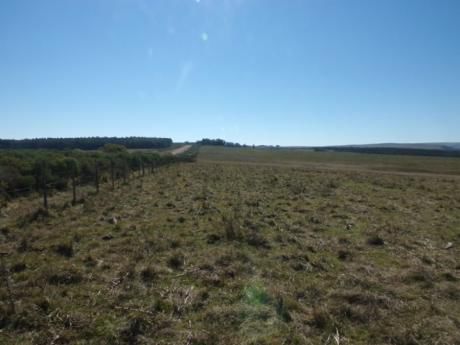 Campo / Chacra En Venta En Minas, Lavalleja