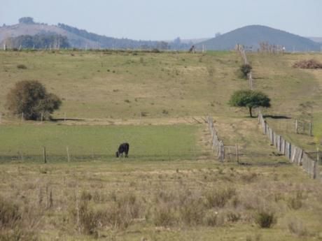 Campo / Chacra En Venta En Minas, Lavalleja