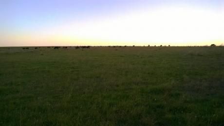 Campo / Chacra En Venta En Artigas, Artigas