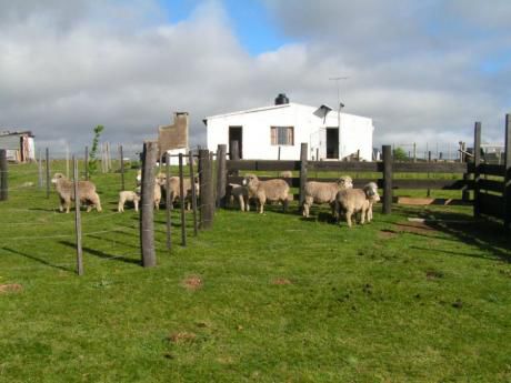 Campo / Chacra En Venta En Mariscala, Lavalleja