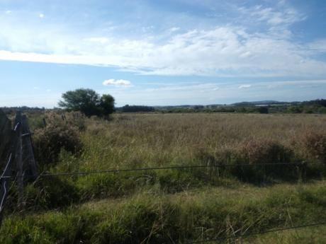 Campo / Chacra En Venta En Minas, Lavalleja
