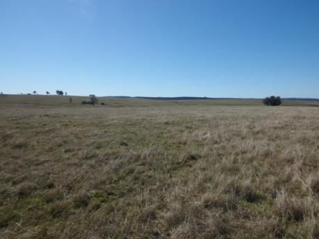 Campo / Chacra En Venta En Minas, Lavalleja