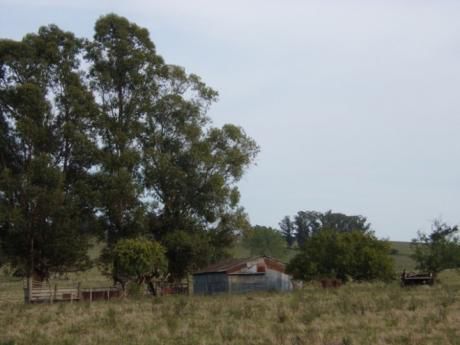 Campo / Chacra En Venta En Minas, Lavalleja