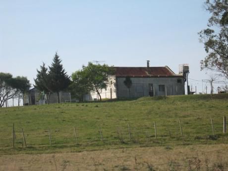 Campo / Chacra En Venta En Minas, Lavalleja