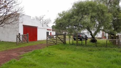 Campo / Chacra En Alquiler En Mercedes, Soriano