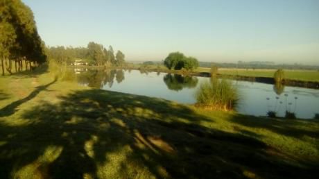 Campo / Chacra En Venta En San José De Mayo, San José