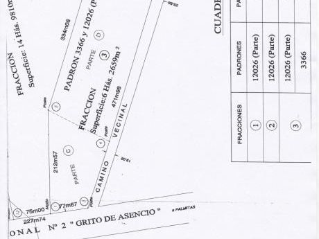 Campo / Chacra En Venta En Mercedes, Soriano