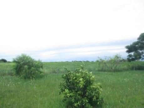 Campo / Chacra En Venta En Las Cañas, Río Negro