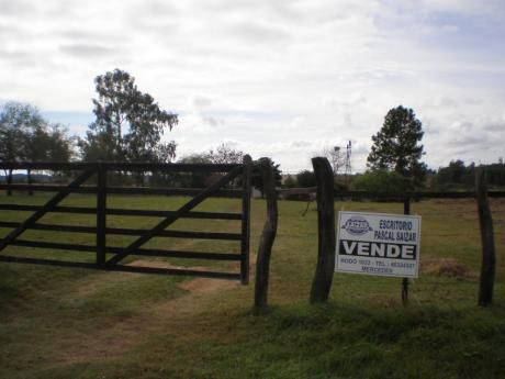 Campo / Chacra En Venta En Arrayanes, Soriano