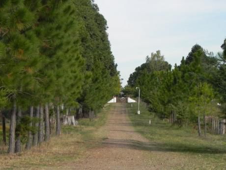 Casa En Alquiler - Alquiler Turistico En Termas Del Daymán, Salto