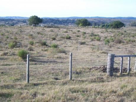 Campo / Chacra En Venta En Mariscala, Lavalleja