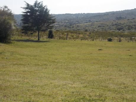 Campo / Chacra En Venta En Aiguá, Lavalleja