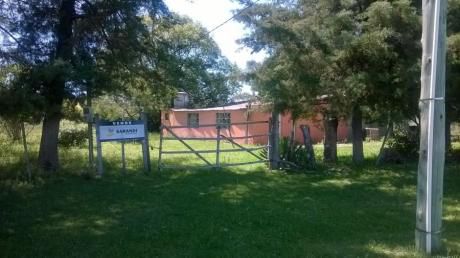 Campo / Chacra En Venta En Chacras De Paysandú, Paysandú