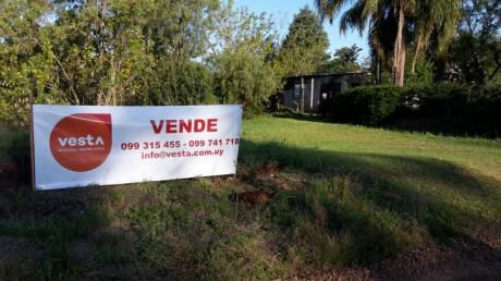 Terreno En Venta En Salto, Salto