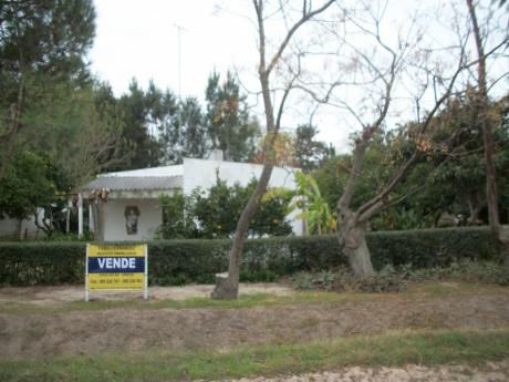 Casa En Venta En Playa Pascual, San José