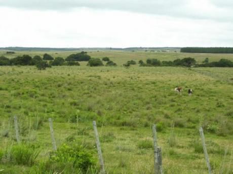 Campo / Chacra En Alquiler En Paraje Caraguata, Tacuarembó