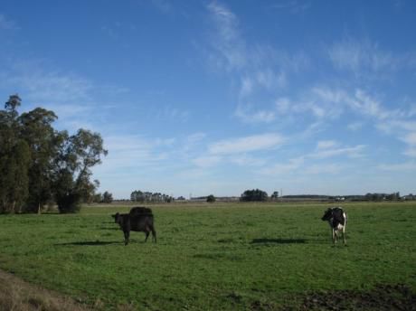 Campo / Chacra En Venta En Libertad, San José