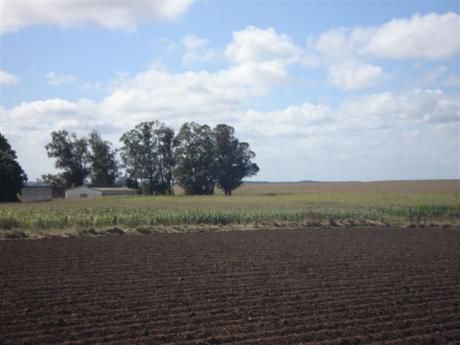Campo / Chacra En Venta En Libertad, San José