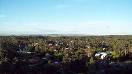Departamento - Roosevelt