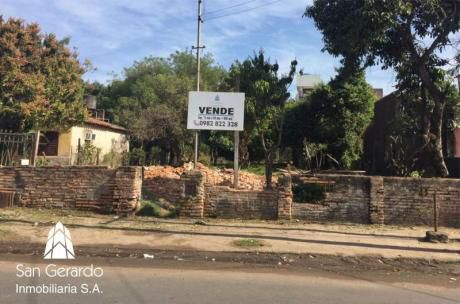 Terreno - Madame Lynch