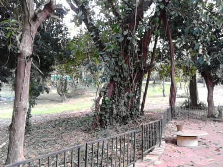 Oferta Vendo Quinta Con Dos Casas En Un Terreno De 14.860 Mt2 Sobre Ruta- Luque Aregua