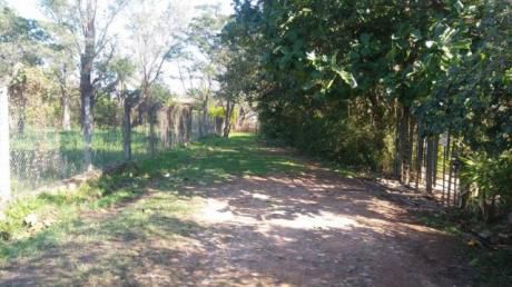 Villa Adela - Luque - Terreno De 1600 M2