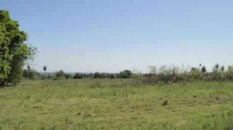 Villeta Ita Ybate - Zona Alta - Tierra Agricola - 4.75 Hectareas